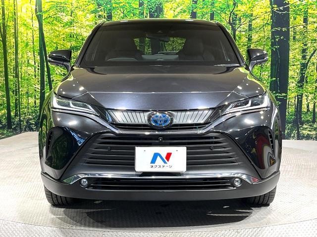 26838306_carP_l_8.jpg