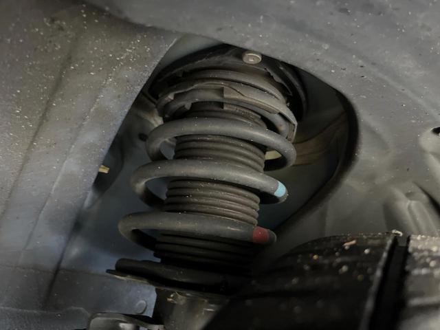 26272869_carP_l_20.jpg