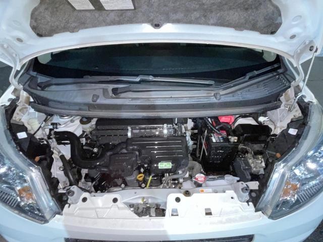27032396_carP_l_16.jpg