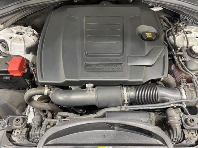 25323879_carP_l_6.jpg