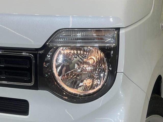 26188982_carP_l_6.jpg