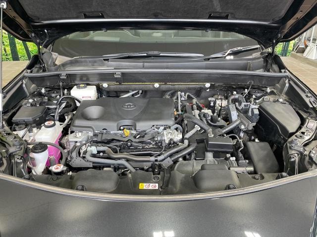 25885299_carP_l_16.jpg