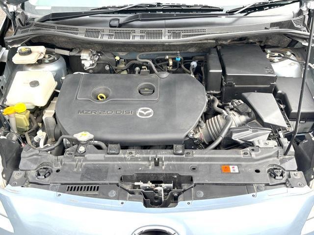 25550125_carP_l_12.jpg