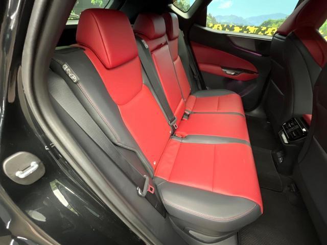 23771771_carP_l_19.jpg