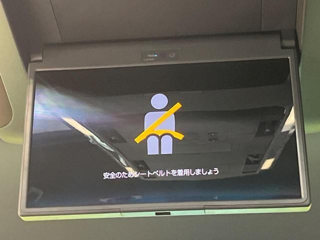 25445412_carP_l_13.jpg