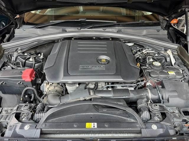 25378653_carP_l_8.jpg