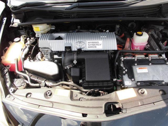23596497_carP_l_17.jpg