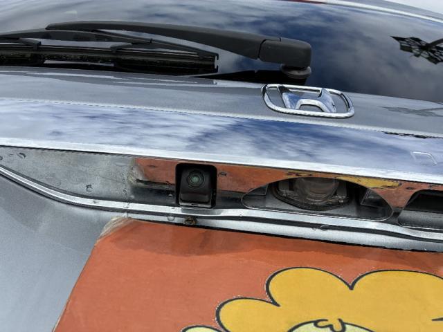 20142482_carP_l_8.jpg