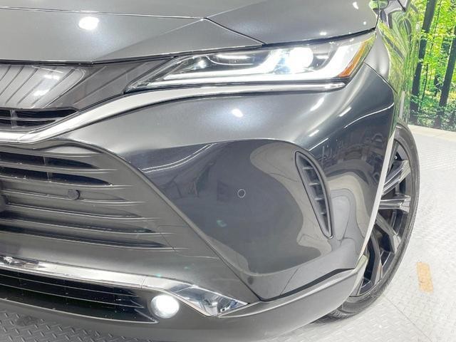 25673841_carP_l_6.jpg