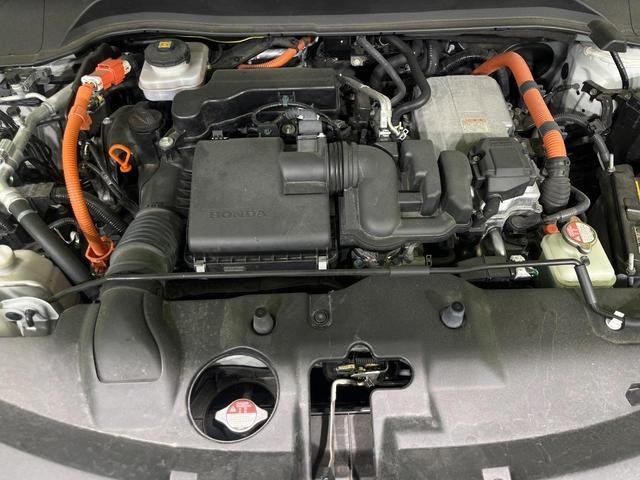 26645280_carP_l_16.jpg