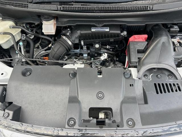 25550178_carP_l_18.jpg