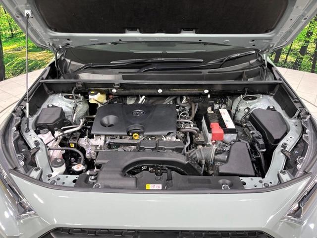 26272926_carP_l_18.jpg