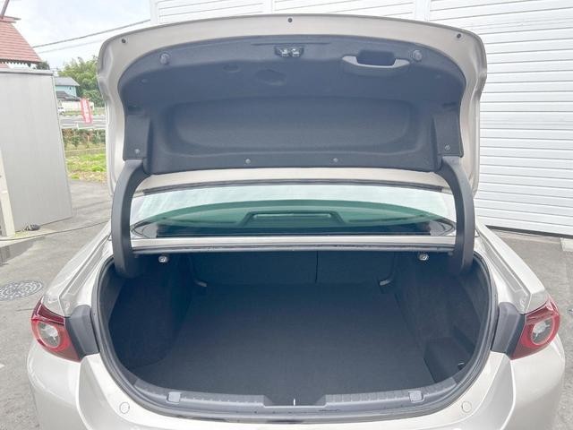 26816630_carP_l_7.jpg