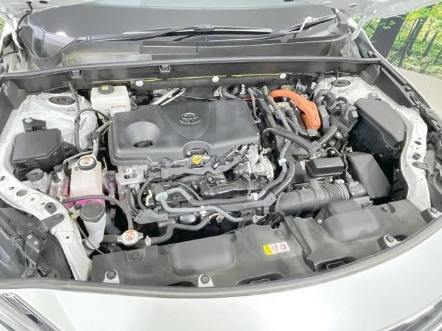 25673843_carP_l_18.jpg