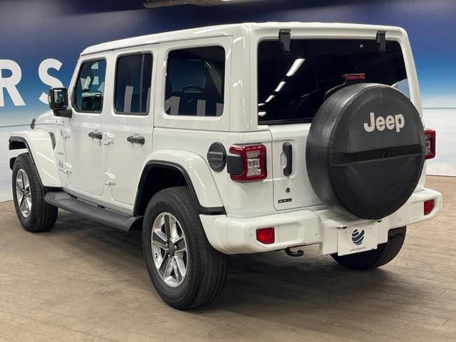 25035470_carP_l_16.jpg