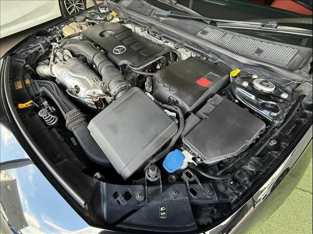 26204206_carP_l_8.jpg