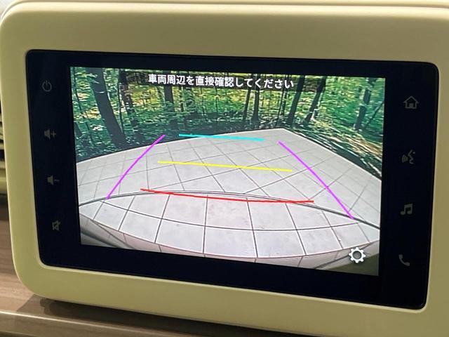 24849532_carP_l_10.jpg