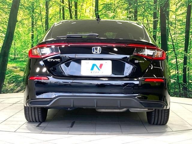 25612202_carP_l_9.jpg