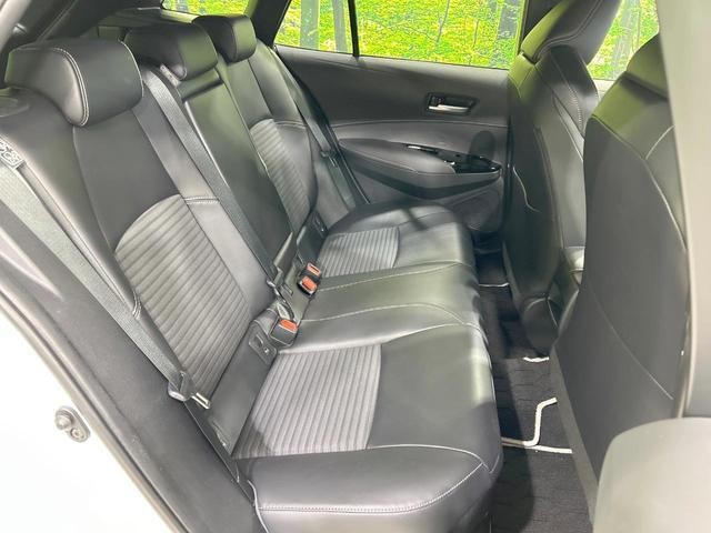 26645415_carP_l_19.jpg