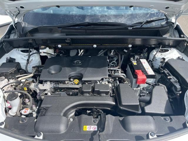 25904082_carP_l_16.jpg