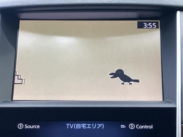 24885861_carP_l_7.jpg