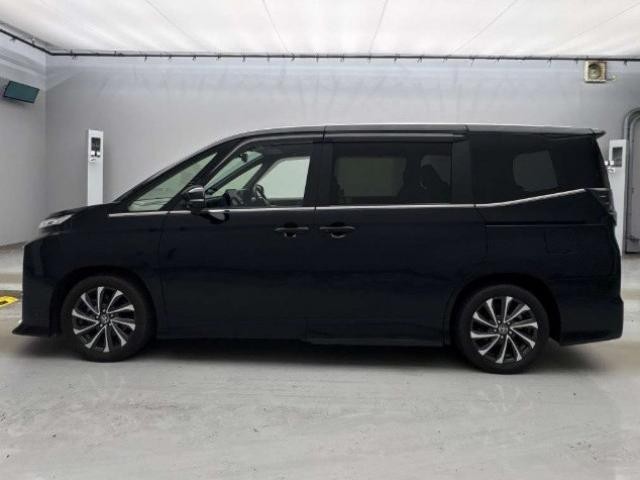26023432_carP_l_14.jpg