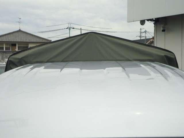 24301211_carP_l_11.jpg