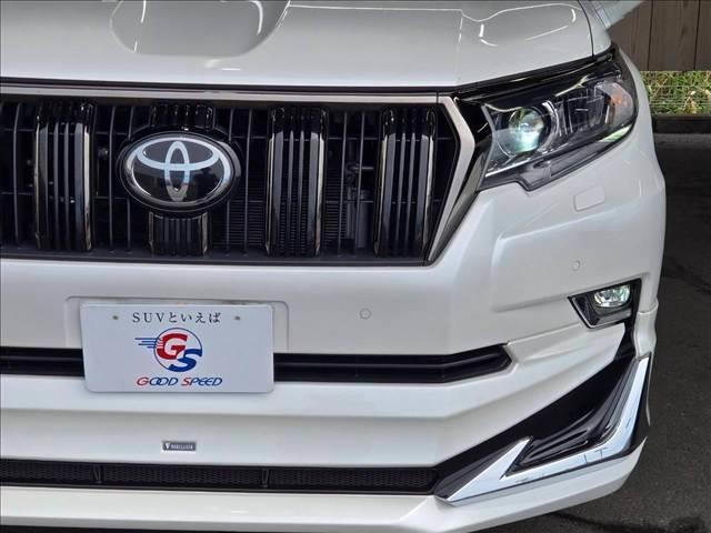 25768810_carP_l_20.jpg