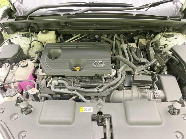 25241477_carP_l_16.jpg