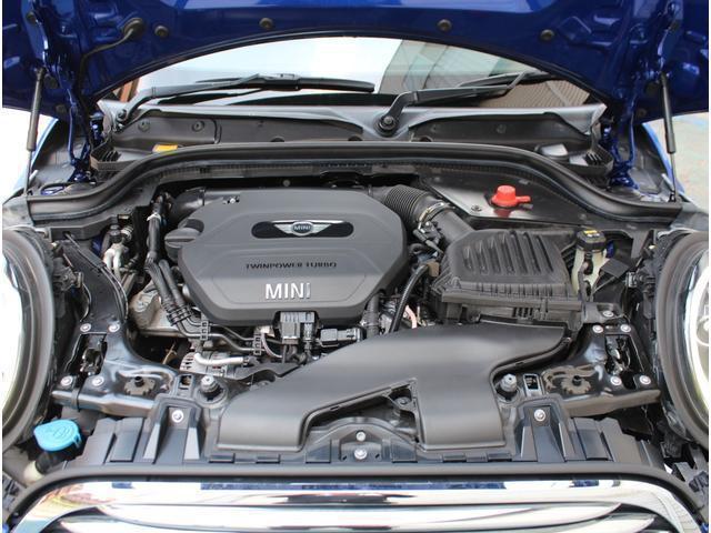 23716177_carP_l_16.jpg