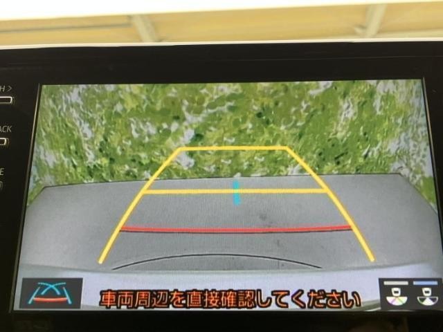 23840031_carP_l_6.jpg