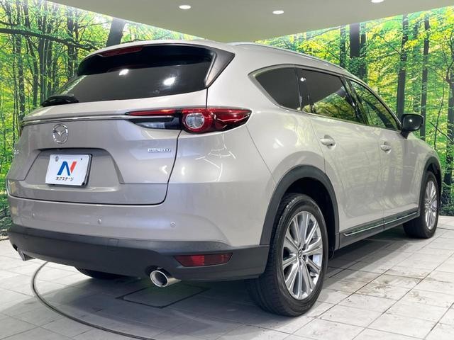 26292773_carP_l_12.jpg