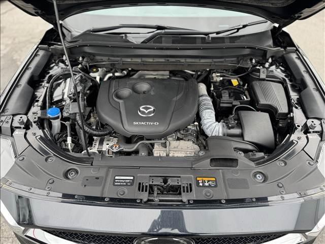 26487498_carP_l_8.jpg