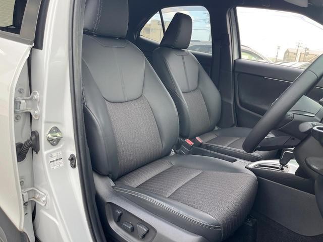 25384066_carP_l_5.jpg