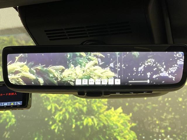 24869274_carP_l_14.jpg