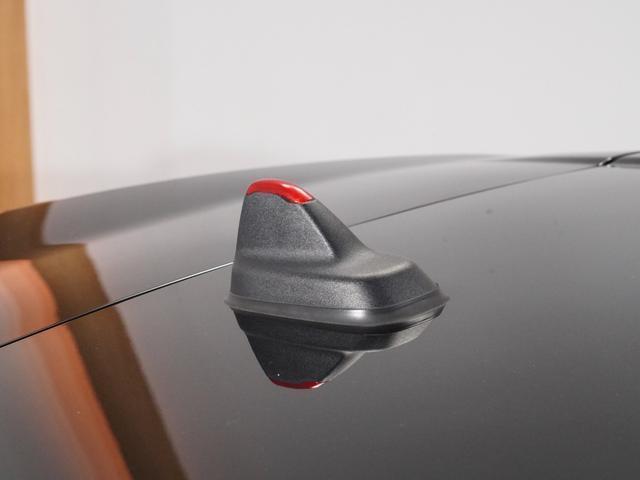 24340064_carP_l_20.jpg