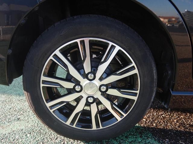 25112726_carP_l_7.jpg