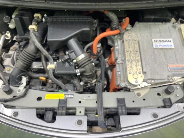 26209549_carP_l_16.jpg