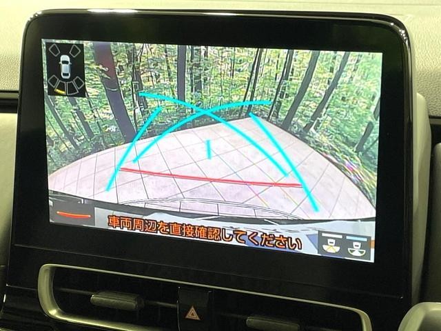 25550213_carP_l_4.jpg