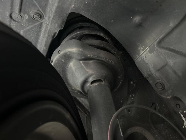 26402279_carP_l_20.jpg