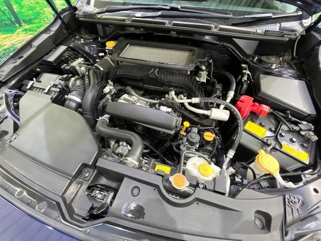 25714697_carP_l_18.jpg
