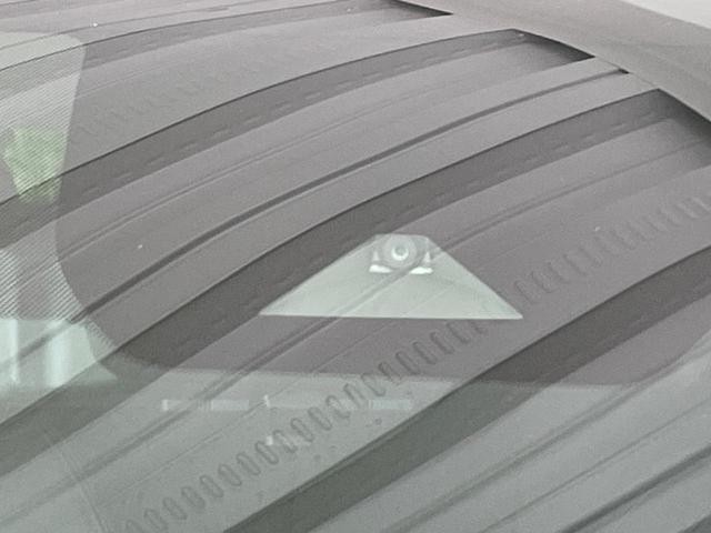 26492096_carP_l_10.jpg