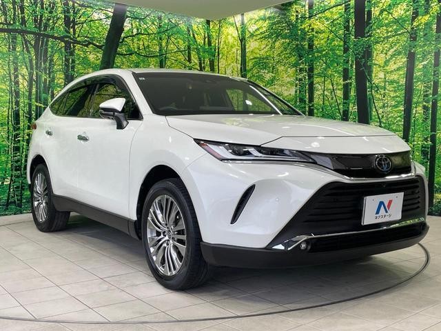 26168902_carP_l_12.jpg