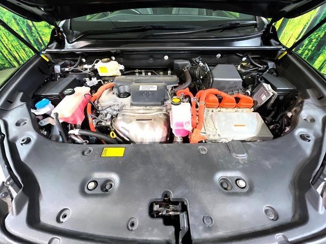 25445612_carP_l_12.jpg