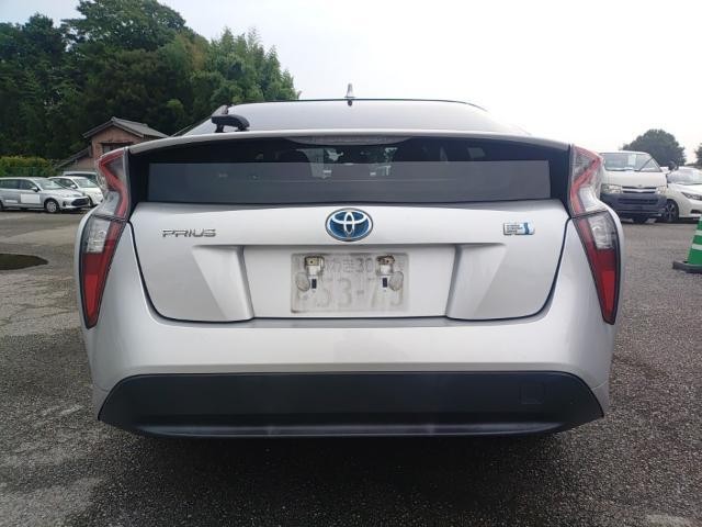25879683_carP_l_3.jpg
