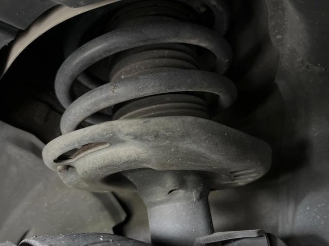 25035563_carP_l_20.jpg