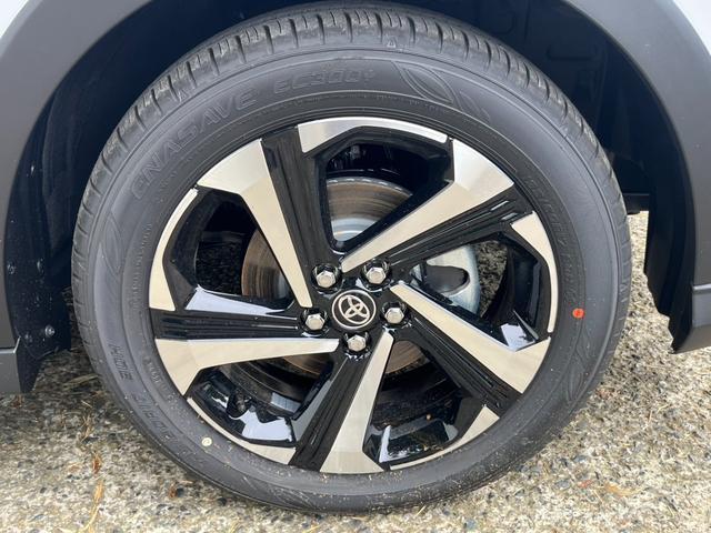 24767291_carP_l_11.jpg