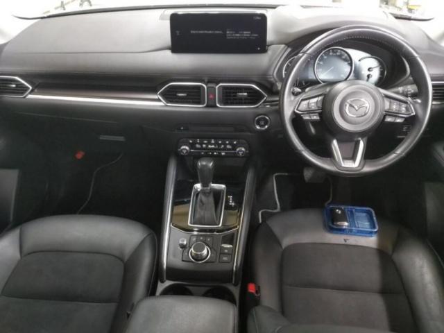 25050475_carP_l_15.jpg