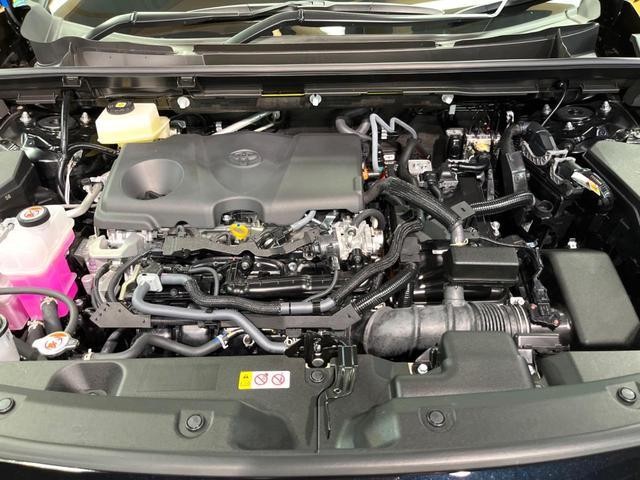 24994252_carP_l_16.jpg