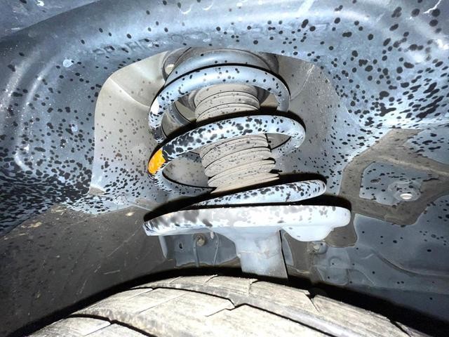 26209747_carP_l_20.jpg